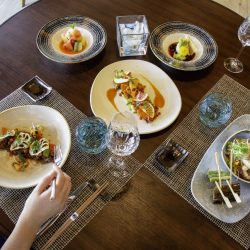 النسخة الثالثة من بطولة راشد بن حميد للصيد بالصقور تنطلق غداً