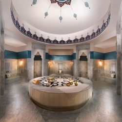 زراعة شجرة زايد في فندق بارك حياة أبو ظبي