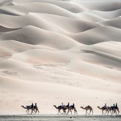 اتفاقية لرفع الوعي المالي للمقبلين على الزواج