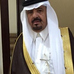 حضور قوي لمجلس الإمارات للشركات الدفاعية في «أيدكس»