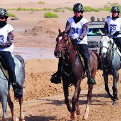 وكالة عروض السفر تطرح عروضاً سياحية لمدن في تركيا