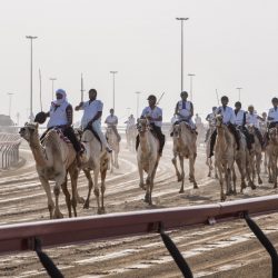 عيادات الأعمال شريك إثرائى في اليوم الهندسي بجامعة الملك عبدالعزيز