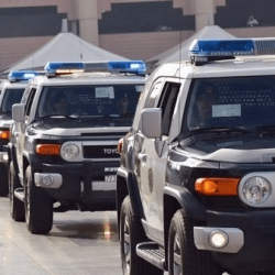 نخبة الفرسان يتنافسون على الكأس الأغلى للحواجز «5 نجوم» اليوم