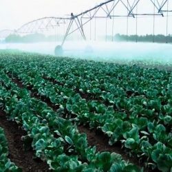 طرحت الفنانة المغربية رقية ماغي أغنية جديدة بعنوان ” الصدق “ طرحت الفنانة المغربية رقية ماغي أغنية جديدة بعنوان ” الصدق “