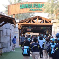 50 ورشة عمل في مهرجان الإبداع ing- في حي دبي للتصميم