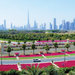 منصور بن زايد يستقبل رئيس أوزبكستان لدى وصوله إلى البلاد