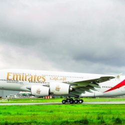 1.2 مليون متر مربع في دبي تُزيّنها 60 مليون زهرة