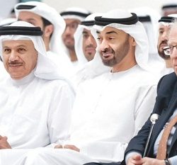 بتوجيهات الشيخ خليفة.. منح الجنسية لـ 3354 من أبناء المواطنات