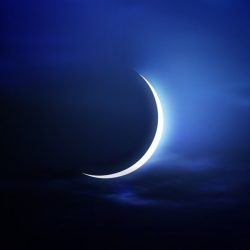 شارع رئيسي بالمندق بدون أعمدة إنارة وارشادات مرورية