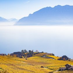 المخيم الصيفي في فندق باب القصر ينطلق 7 يوليو  يوفر  للأطفال مزيجًا من المتعة والتعلم خلال العطلة الصيفية