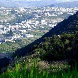 2.5 مليون نزيل بفنادق أبوظبي منذ بداية العام