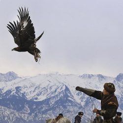 إفتتاح منتجع وسبا نيكي بيتش سانتوريني باليونان