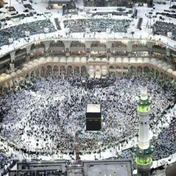 منتجع سانت ريجيس السعديات يُطلق  قوائم جديدة احتفاءً بيوم المرأة الإماراتية