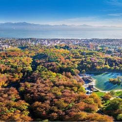 باقات فندق أنانتارا القرم الشرقي تتيح للزوار إستكشاف أبوظبي