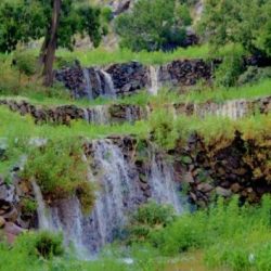 أبوظبي ودبي الأفضل للعيش إقليمياً