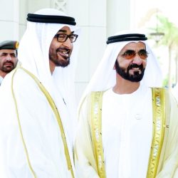 1156 شركة إماراتية تستثمر في مصر