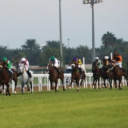 96 ألف سائح توافدوا على أكادير خلال شهر أكتوبر