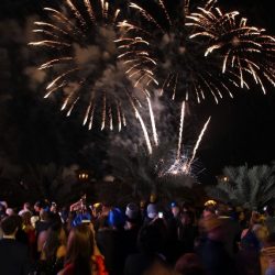 بطولات فزاع تكشف عن أشواط مسابقات الصيد بالصقور لموسم 2019-2020