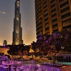 مشاركة واسعة في النسخة الثالثة لبطولة نادي الشارقة للصقارين “التلواح”