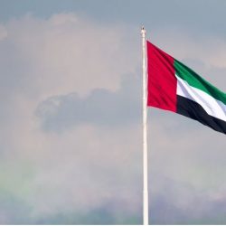 31 حالة شفاء من «كورونا» في الإمارات