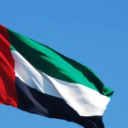 «سي ئي أو وورلد»: دبي الأولى إقليمياً والثامنة عالمياً في عدد ناطحات السحاب