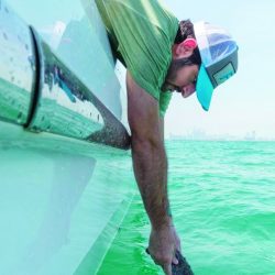 الشيخ محمد بن زايد : دولة الإمارات تتضامن مع الاتحاد الأوروبي في مواجهة «كورونا»