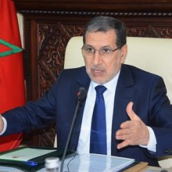 وزير الطيران المصري الأسبق أمينا عاما للمنظمة العربية للسياحة