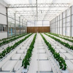 مجلس الوزراء يعتمد إعادة تشكيل مجلس إدارة «الاتحاد لائتمان الصادرات»