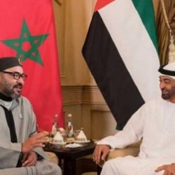 دولة الإمارات تدعو إلى تنسيق عربي لسرعة تعافي السياحة