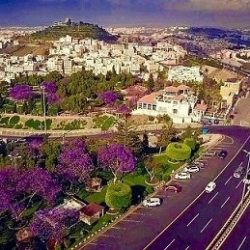 وزير الصناعة المغربي : صناعة السيارات بالمغرب أكثر تنافسية من أوروبا