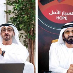 دولة الإمارات تناقش مع مجموعة العشرين حلول تسريع النمو العالمي بعد «كوفيد»