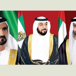 دولة الإمارات تدعو لتحقيق الربط الكهربائي العربي