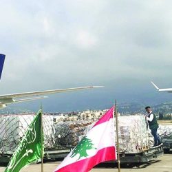 مساعدات إماراتية تحمل 40 طن مواد إغاثية تصل إلى لبنان