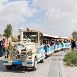 الشيخ محمد بن راشد: نبحث عن كفاءات جديدة لتأهيلهم ببرنامج قيادي يراعي عالماً جديداً نعيشه