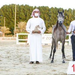 خيول الإمارات في تحدّي «شامبيون ستيكس» اليوم