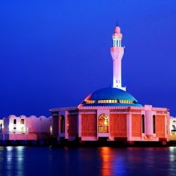 حقيقة وفاة 6 أشخاص بعد تلقيهم لقاح “فايزر”   المضاد لكورونا في أمريكا