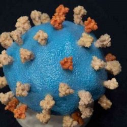 الأمير محمد بن سلمان يتلقى الجرعة الأولى من لقاح كورونا