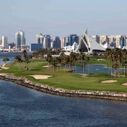 دولة الإمارات : ريادة عالمية في مكافحة «كورونا»