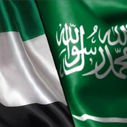 مجلس  الوزراء السعودي يرحب بـ «قادة الخليج» ويؤكد على تعزيز العمل المشترك