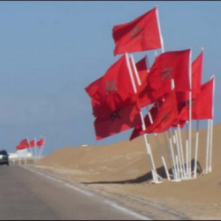 دولة الإمارات تقود التحول التاريخي نحو السلام في المنطقة