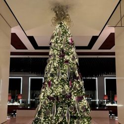 «الهوية السياحية الموحدة» تنشر الاحتفاء بمقومات الإمارات الطبيعية والتاريخية والحضارية والثقافية والإنسانية