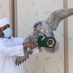 دولة الإمارات تسجل 2876 إصابة جديدة بفيروس كورونا و2454 حالة شفاء