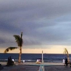 106 مراكز تطعيم ثابتة و30 فريق تطعيم جوال في إمارة أبوظبي