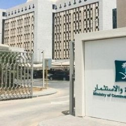 التركستاني يصدر كتاب ( في أصول التعبيرات الاصطلاحية في فصحانا المعاصرة )