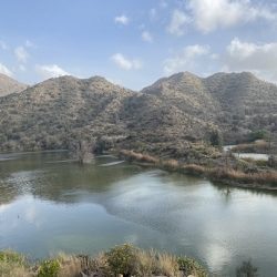 ستة بنوك سعودية تقرض «الخطوط السعودية» 11.2 مليار ريال لشراء طائرات