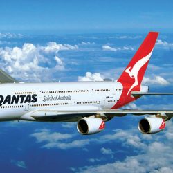 مسؤولون ومشايخ محافظة المندق يهنئون أمير الباحة بالثقة الملكية