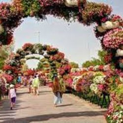 عرض للألعاب النارية في جزيرة ياس في أبوظبي احتفاءً بالعيد