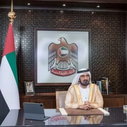 بحث تطوير الشراكة الاستراتيجية الإماراتية الروسية