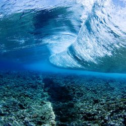 منتجع ريكسوس بريميوم مجاويش الغردقة وجهة سياحية مثالية لشهر عسل رومانسي هذا الصيف