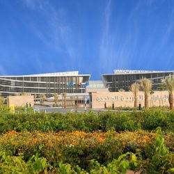 مطار أبوظبي الدولي متحف في الهواء الطلق حافل بالألوان والأضواء